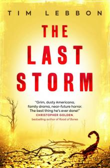 The Last Storm The Last Storm