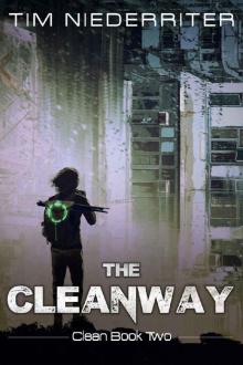 The Cleanway