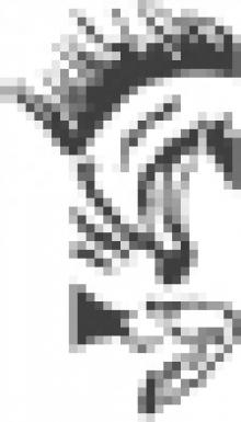 The Coffins of Little Hope