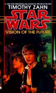 Vision of the future swhot-2