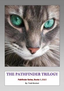 The Pathfinder Trilogy The Pathfinder Trilogy