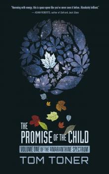 The Promise of the Child The Promise of the Child