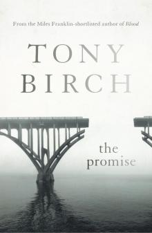 The Promise