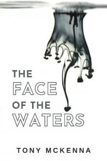 The Face of the Waters The Face of the Waters