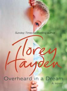 Overheard in a Dream Overheard in a Dream