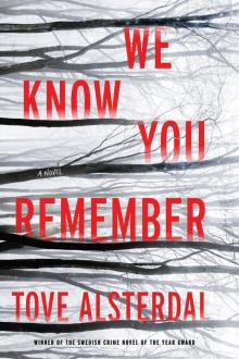 We Know You Remember We Know You Remember