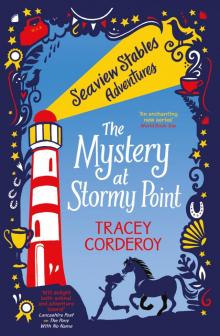 The Mystery at Stormy Point