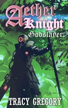 Aether Knight: Godslayer: A LitRPG Light Novel