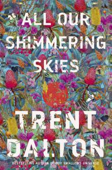 All Our Shimmering Skies All Our Shimmering Skies