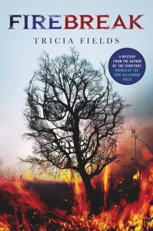 Firebreak: A Mystery (Josie Gray Mysteries)