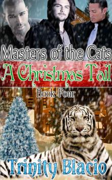 A Christmas Tail: Book Four of The Masters of The Cats Series