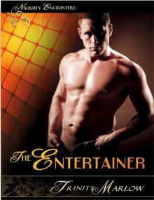 The Entertainer The Entertainer