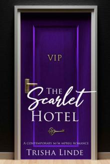 VIP: a contemporary m/m mpreg romance (The Scarlet Hotel) VIP: a contemporary m/m mpreg romance (The Scarlet Hotel)