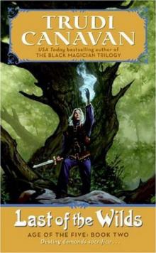 The Last of the Wilds aotft-2