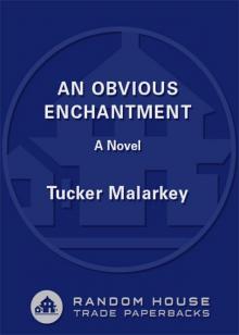 An Obvious Enchantment An Obvious Enchantment