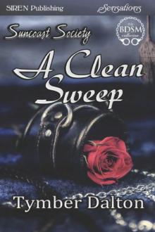 A Clean Sweep A Clean Sweep