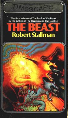 The Beast (v1.0)