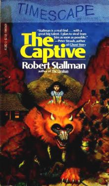 The Captive (v1.0)