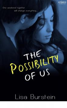 The Possibility of Us The Possibility of Us