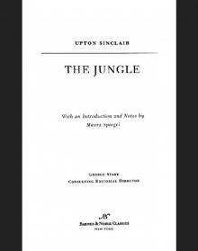 The Jungle The Jungle