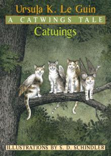 Catwings Catwings