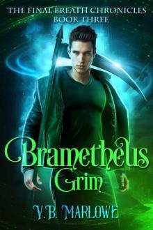 Brametheus Grim: The Final Breath Chronicles Book Three