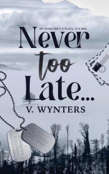Never Too Late Never Too Late