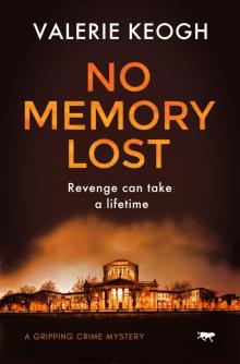 No Memory Lost No Memory Lost