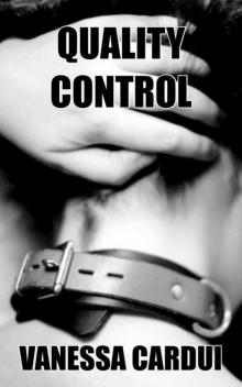 Quality Control (Kita's Adventures in Product Development Book 1)