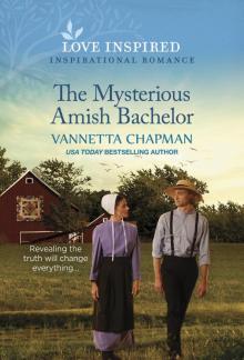 The Mysterious Amish Bachelor The Mysterious Amish Bachelor