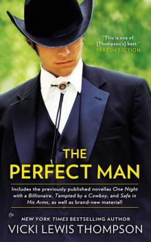 The Perfect Man The Perfect Man