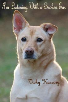 I'm Listening With a Broken Ear