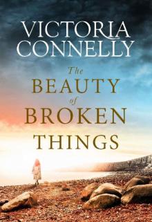 The Beauty of Broken Things The Beauty of Broken Things