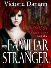 My Familiar Stranger My Familiar Stranger