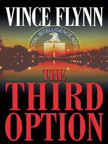 Mitch Rapp 02 - The Third Option