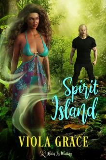 Spirit Island Spirit Island