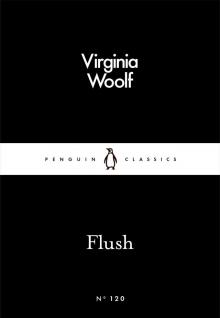 Flush Flush
