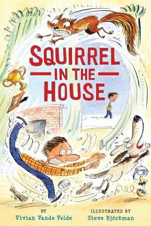 Squirrel in the House Squirrel in the House