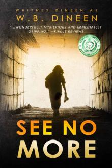 See No More See No More
