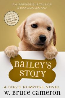 Bailey's Story Bailey's Story