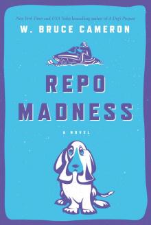 Repo Madness Repo Madness