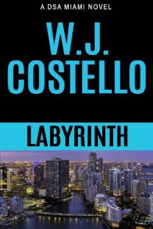 Labyrinth (DSA Miami Book 1)