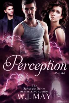 Perception Perception