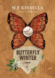 Butterfly Winter Butterfly Winter
