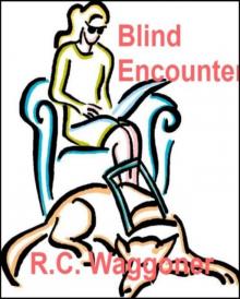 Blind Encounter Blind Encounter