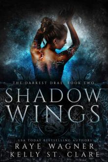 Shadow Wings: The Darkest Drae: Book two