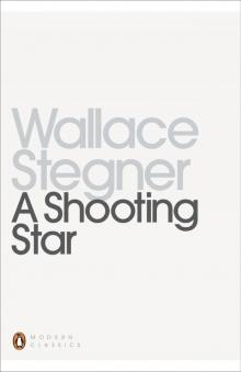 A Shooting Star A Shooting Star