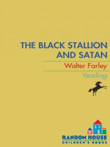 Black Stallion and Satan Black Stallion and Satan