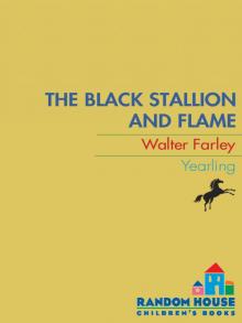The Black Stallion and Flame The Black Stallion and Flame