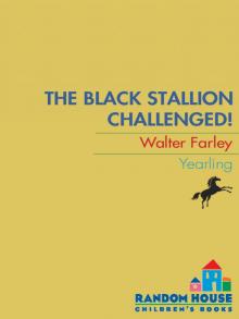The Black Stallion Challenged The Black Stallion Challenged